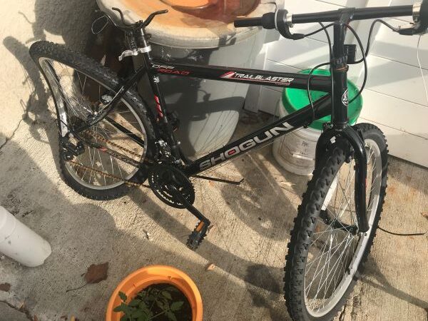 Jerome's Damaged Bicycle